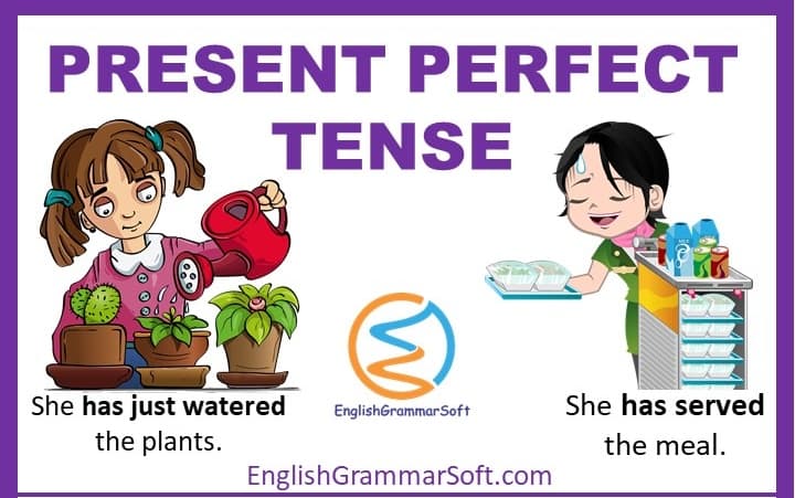 Present Perfect Tense with examples