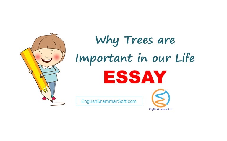 Essay on Why Trees are Important in our Life