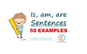 Is am are sentences in English (50 Examples)
