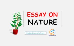essay on nature 500 words
