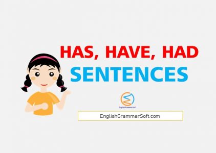 Has Have Had use in sentences | 50 Examples - EnglishGrammarSoft