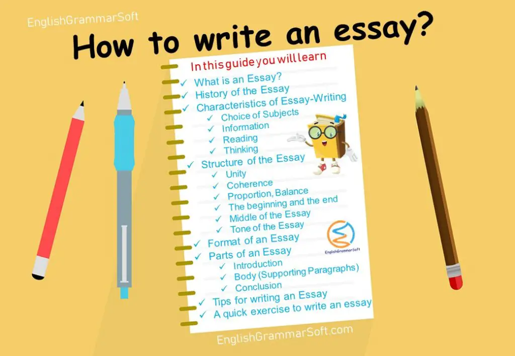 essay writing terminology