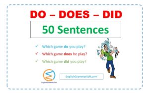 Do Does Did Sentences (50 Examples)