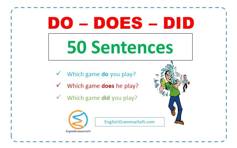 do does did sentences examples