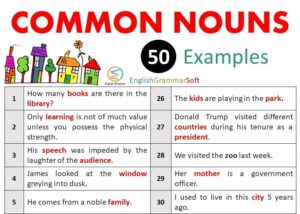 Examples of Common Nouns | 50 Sentences