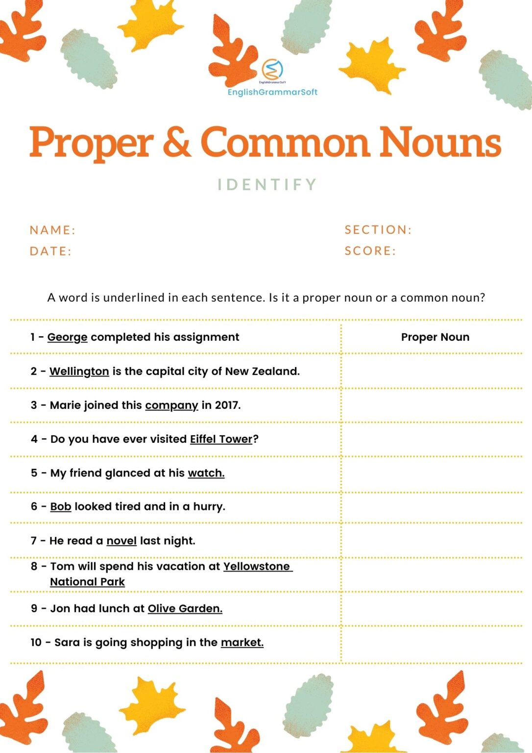 Common And Proper Nouns Exercises For Grade 5