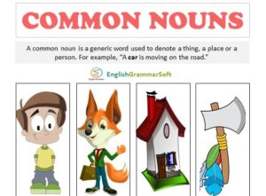 Common Noun: Definition, Examples, List and Exercise