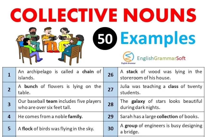 Collective Nouns Sentences (Collective Nouns Examples)