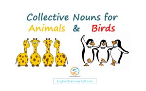 List of 150+ Collective Nouns for Animals and Birds