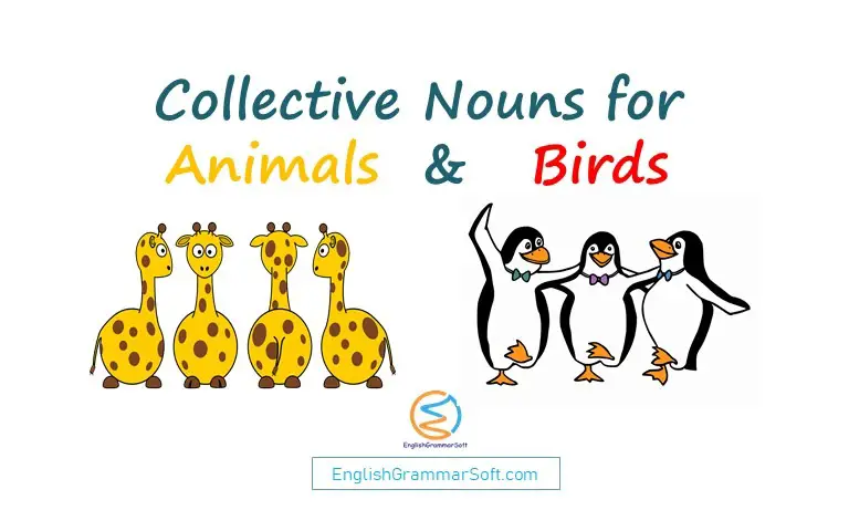 Collective Nouns for Animals and Birds