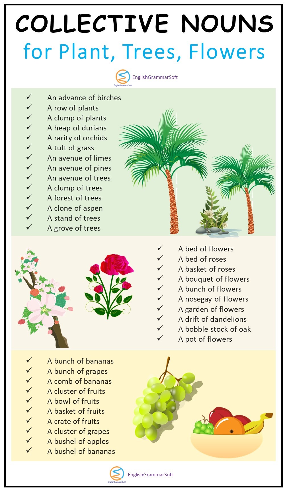 Collective Nouns for Plants and Trees