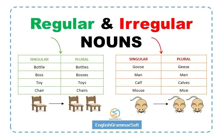 Regular and Irregular Nouns (Rules, Examples, Lists & Worksheet)