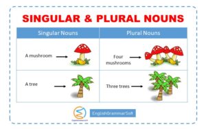 Singular and Plural Nouns (15 Rules, 50 Examples & Worksheet)