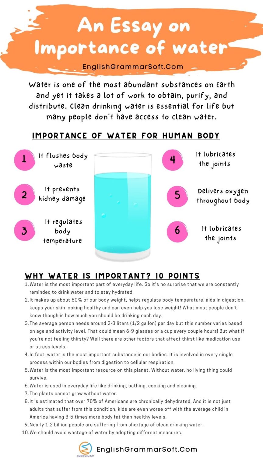 essay about importance of water to your life