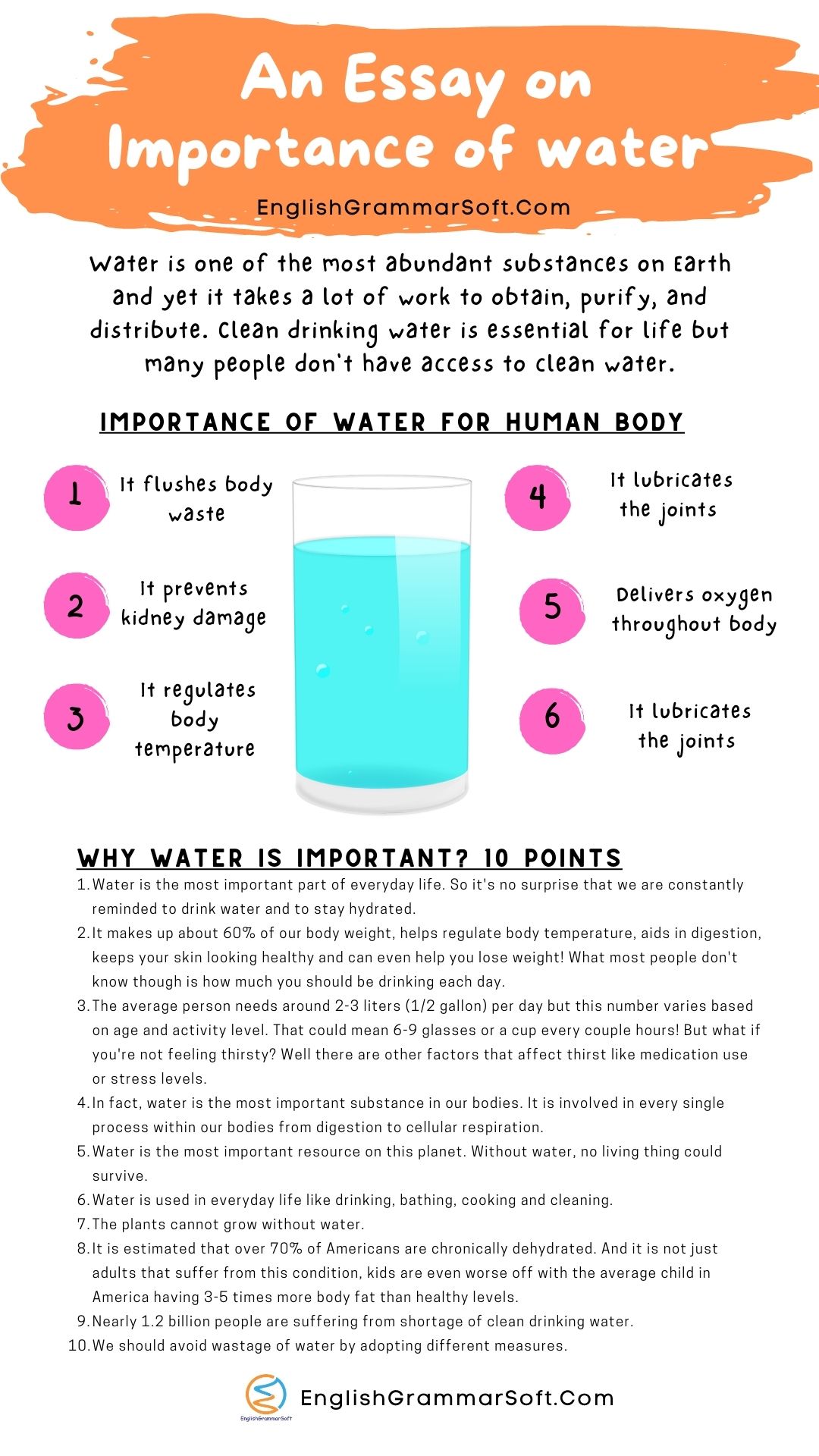 essay on drinking water