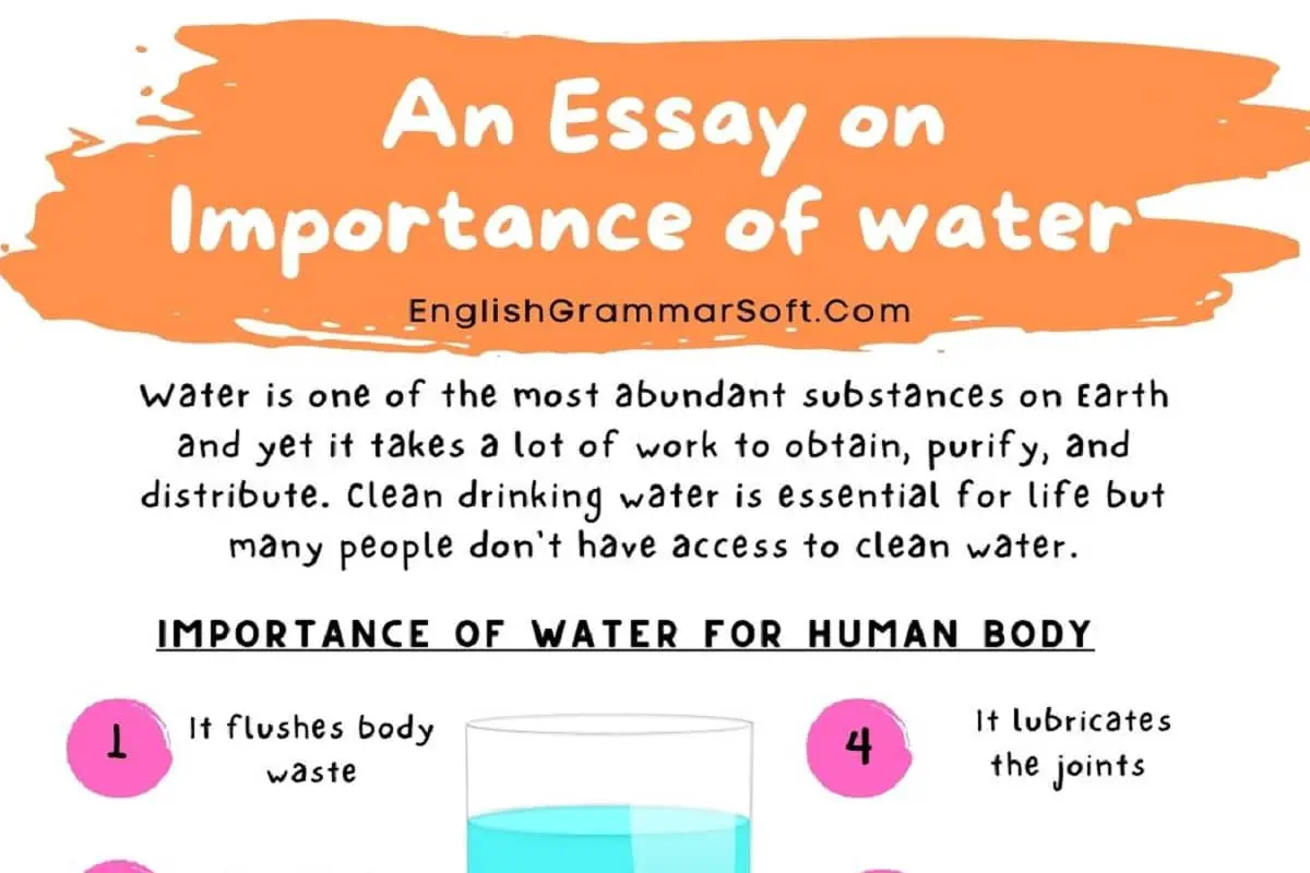 importance of water in the body essay