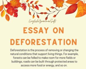 Short Essay on Deforestation with subheadings