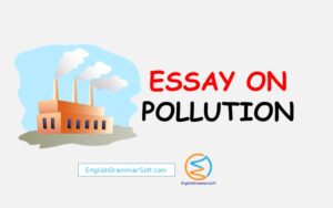 An Essay on Pollution