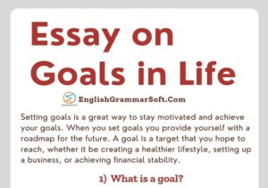 Essay on Goals in Life