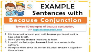 Sentences with Because Conjunction (50 Examples)