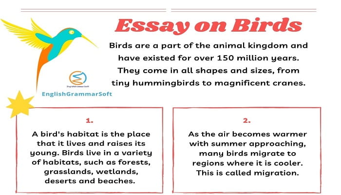 essay on birds for class 4