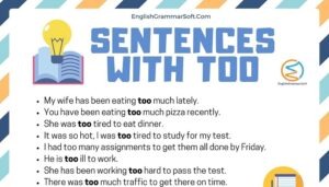 75 Example Sentences with Too in them