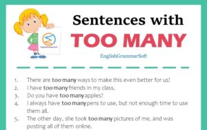 Make Sentences with Too Many (50 Examples)