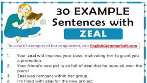 Sentences with Zeal (67 Examples)