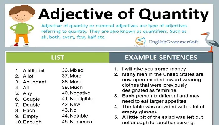 Adjective of Quantity Examples and List