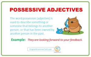 Possessive Adjectives (Example Sentences, Exercise & Worksheet)