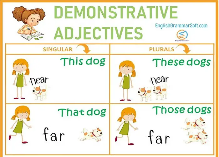 What is demonstrative adjective