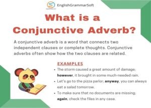 Conjunctive Adverb (Examples, Thamo, List & Worksheets)