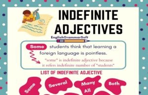 Indefinite Adjectives (Examples, List & Exercise)
