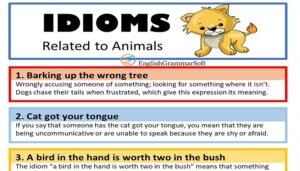 15 Idioms Related to Animals