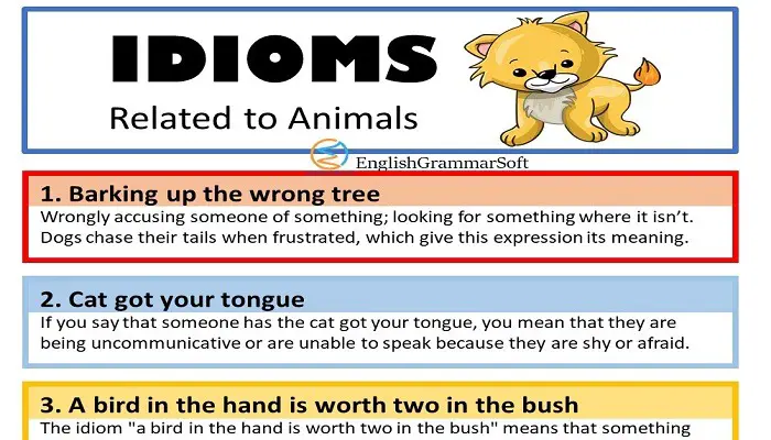 Animal related idioms with meaning