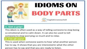 Commonly Used Idioms on Body Parts with Meanings