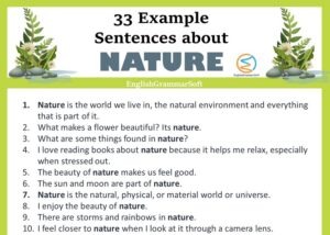 33 Example Sentences About Nature