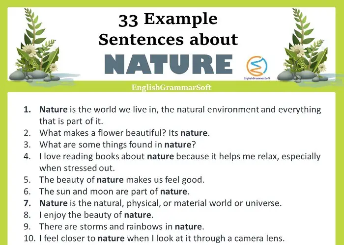Example Sentences About Nature