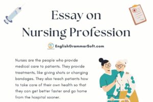 Essay on Nursing Profession