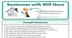 Sentences with Will Have