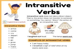 Intransitive Verbs with Examples