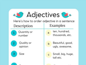 Sentences with 3 Adjectives (52 Examples)