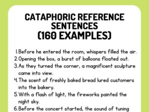 Cataphoric Reference Sentences (160 Examples)